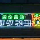 愛宕基地サケネコ